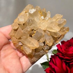 Golden healer / limonit klynge