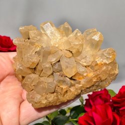 Golden healer / limonit klynge