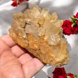 Golden healer / limonit klynge