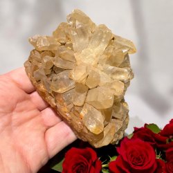 Golden healer / limonit klynge