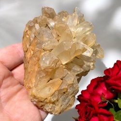 Golden healer / limonit klynge