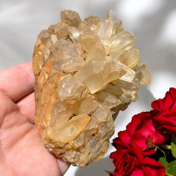 Golden healer / limonit klynge