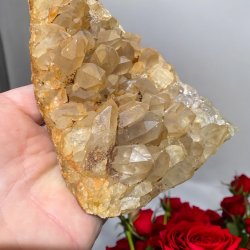 Golden healer / limonit klynge