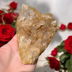 Golden healer / limonit klynge