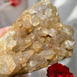 Golden healer / limonit klynge