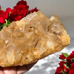 Golden healer / limonit klynge