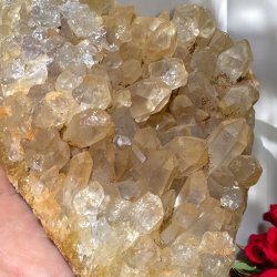 Golden healer / limonit klynge