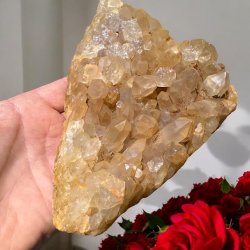 Golden healer / limonit klynge