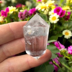 Bjergkrystal vogel cut