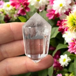 Bjergkrystal vogel cut