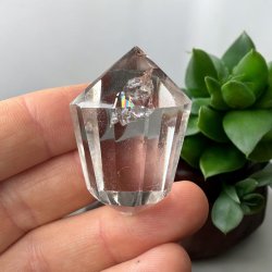 Bjergkrystal vogel cut