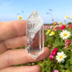 Bjergkrystal vogel cut