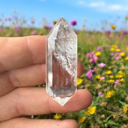 Bjergkrystal vogel cut