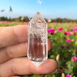 Bjergkrystal vogel cut