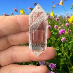 Bjergkrystal vogel cut