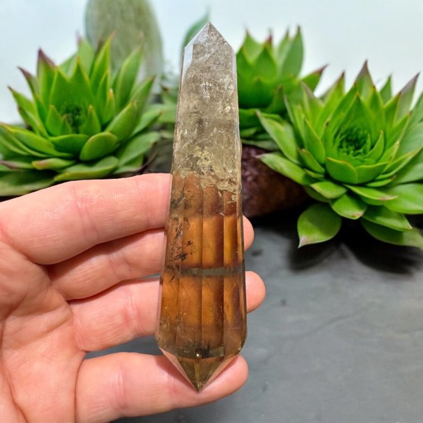 Citrin vogel cut