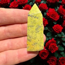 Atlantisit t�rn 43mm