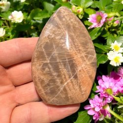 Fersken mnesten freeform