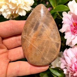 Fersken mnesten freeform