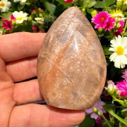 Fersken mnesten freeform