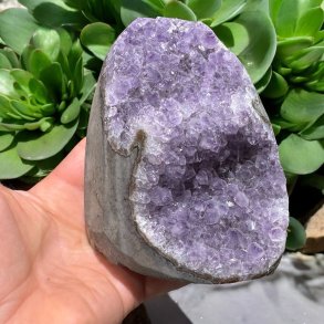 Ametyst klynge med poleret kant