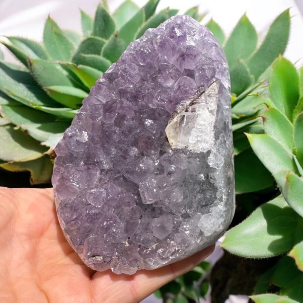 Ametyst klynge med poleret kant