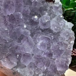 Ametyst klynge med poleret kant