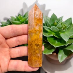 Golden healer t�rn 104mm