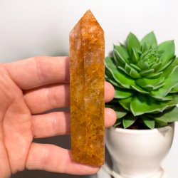 Golden healer t�rn 104mm