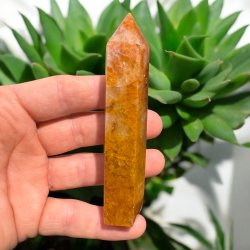 Golden healer t�rn 104mm