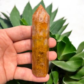 Golden healer trn 104mm