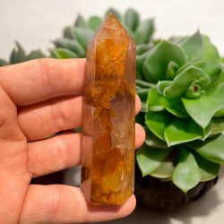 Golden healer t�rn 95mm