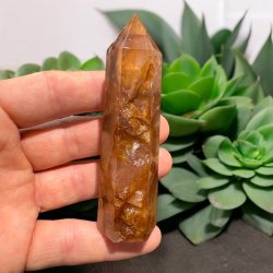 Golden healer t�rn 95mm