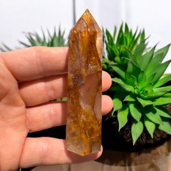 Golden healer t�rn 95mm