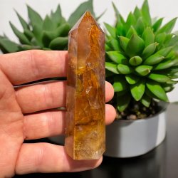 Golden healer t�rn 95mm