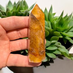 Golden healer t�rn 88mm