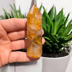 Golden healer t�rn 88mm