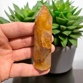 Golden healer trn 88mm