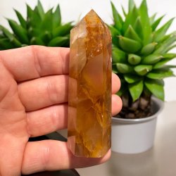 Golden healer t�rn 87mm