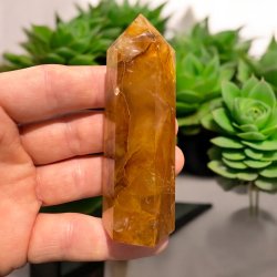 Golden healer t�rn 87mm