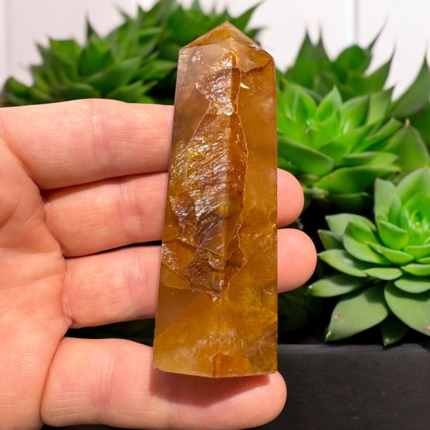 Golden healer t�rn 87mm