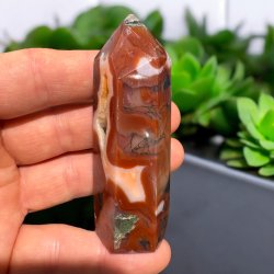 Rd Mosagat trn med druzy 81mm