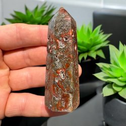 R�d Mosagat t�rn 81mm