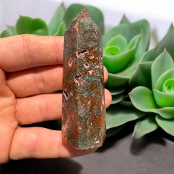 R�d Mosagat t�rn 81mm