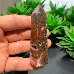 R�d Mosagat t�rn 81mm