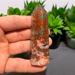 R�d Mosagat t�rn 81mm