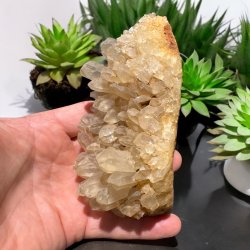 Golden healer / limonit klynge