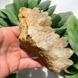 Golden healer / limonit klynge