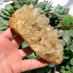 Golden healer / limonit klynge