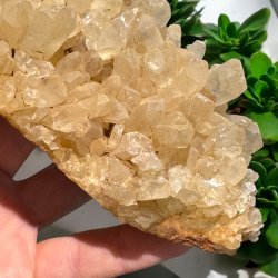 Golden healer / limonit klynge